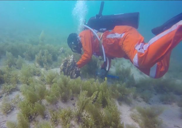 PA视讯(中国)集团官网 - PlayAce