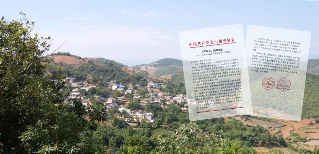 PA视讯(中国)集团官网 - PlayAce