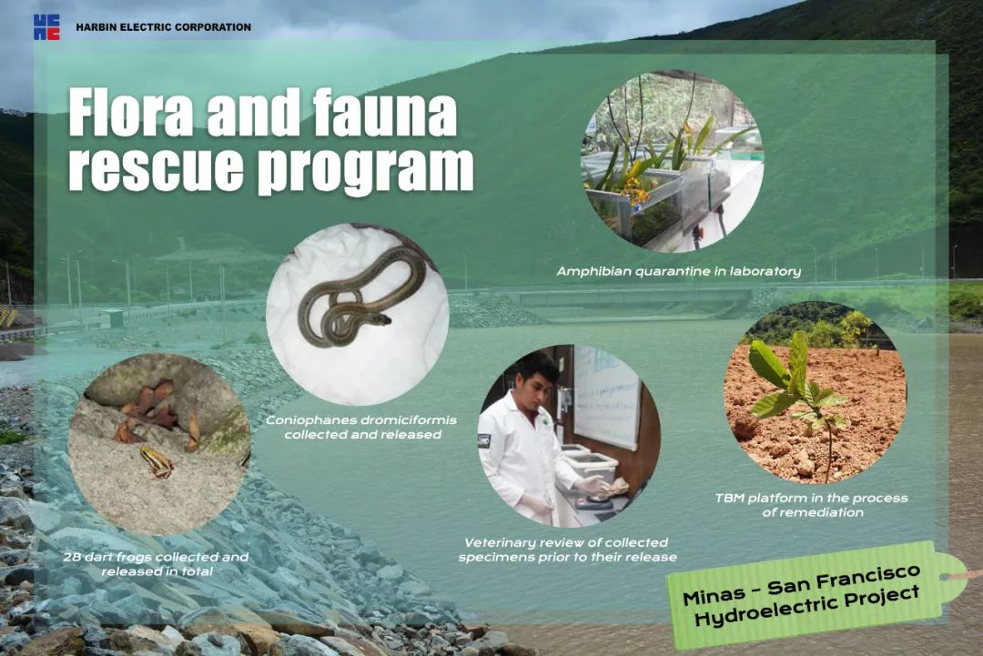 PA视讯(中国)集团官网 - PlayAce