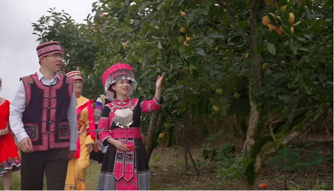 PA视讯(中国)集团官网 - PlayAce