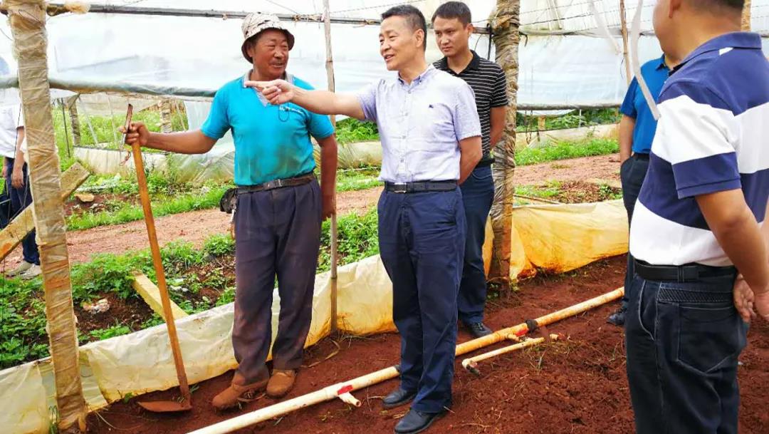 PA视讯(中国)集团官网 - PlayAce