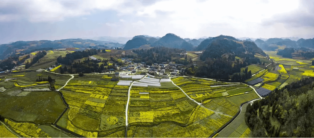 PA视讯(中国)集团官网 - PlayAce