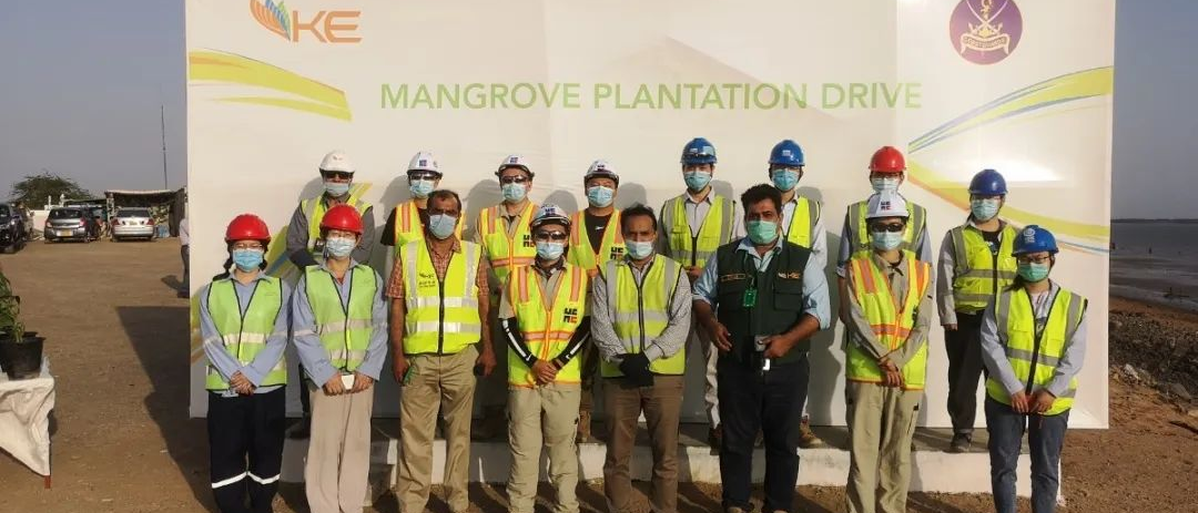 PA视讯(中国)集团官网 - PlayAce