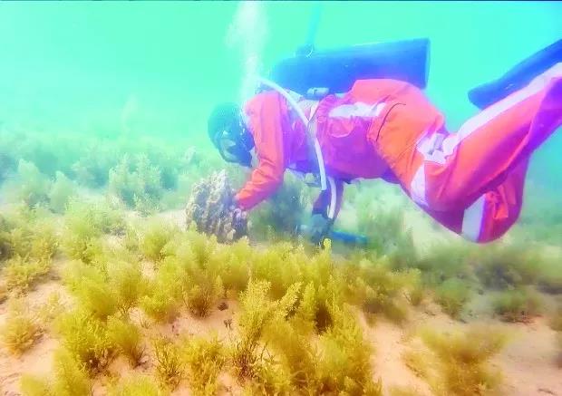 PA视讯(中国)集团官网 - PlayAce