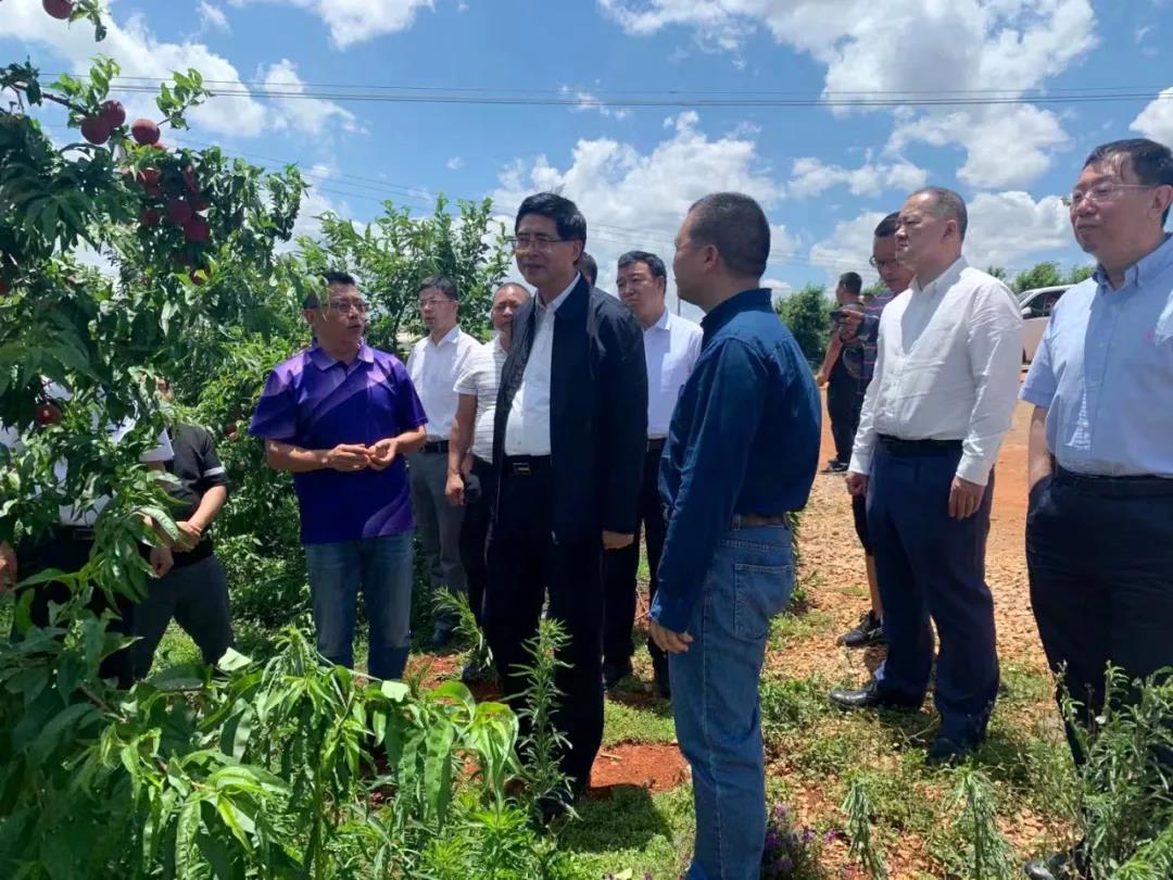 PA视讯(中国)集团官网 - PlayAce