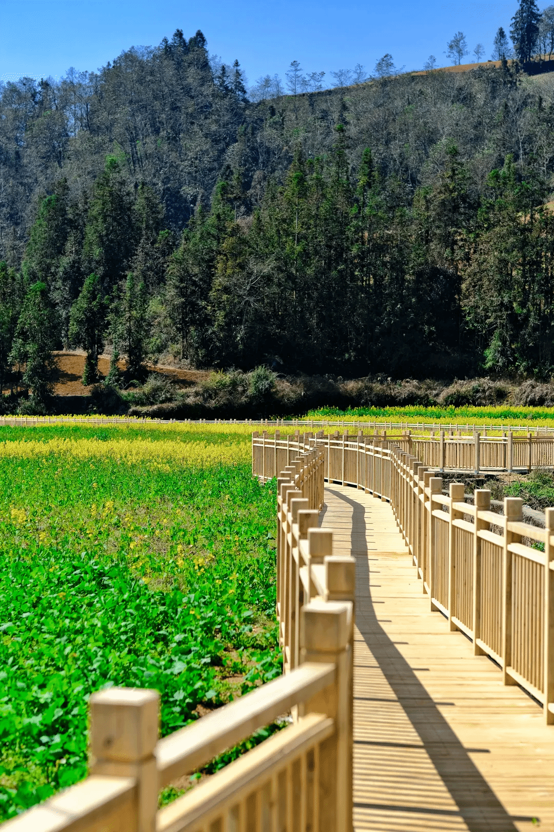 PA视讯(中国)集团官网 - PlayAce