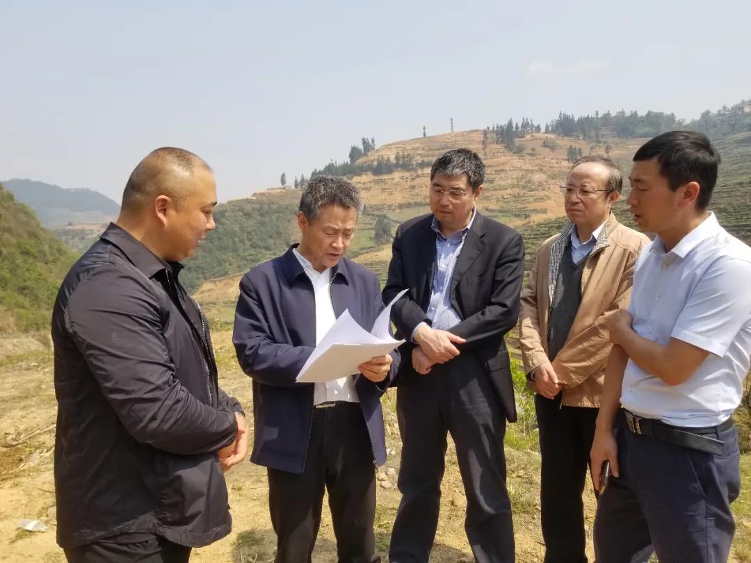 PA视讯(中国)集团官网 - PlayAce