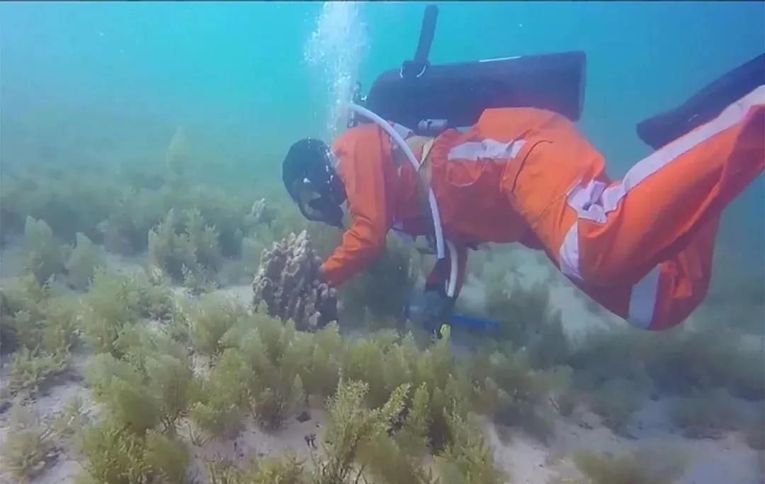 PA视讯(中国)集团官网 - PlayAce